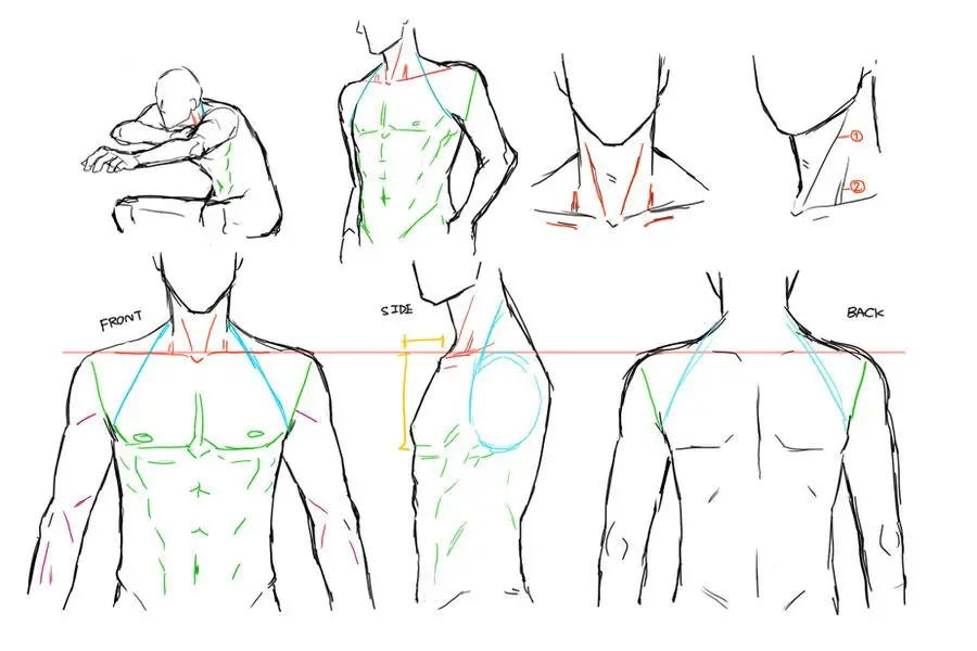 Anime Anatomy Reference Anime Anatomy Poses Anime Anatomy Practice Anime Anatomy Drawing Anime Girl Anatomy Poses 20 1