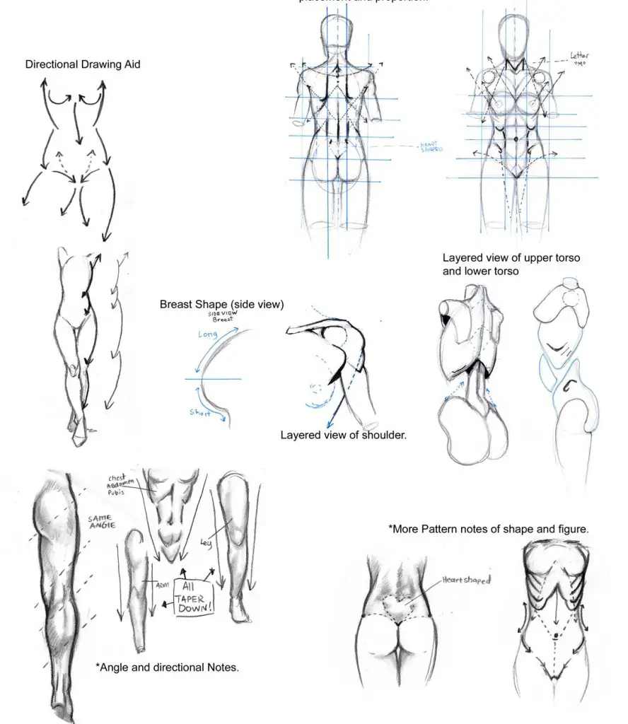 anime anatomy reference Anime anatomy poses Anime anatomy practice Anime anatomy drawing Anime girl anatomy poses 28