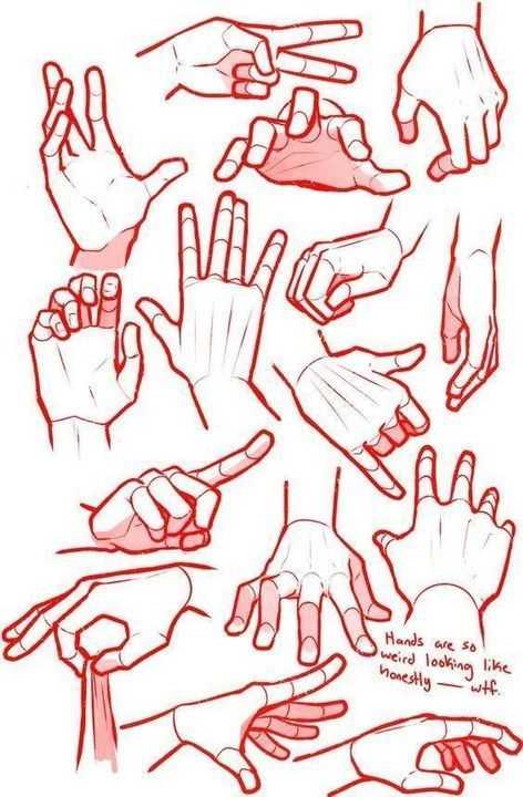 anime hand reference anime hand drawing Anime hands girl Anime hand poses Anime hands holding 3