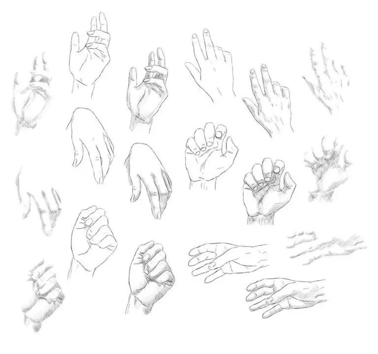 Anime Hand Reference: A Game-Changer for Aspiring Artists – Art ...