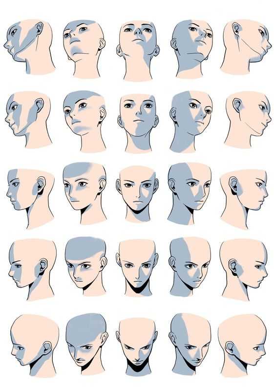 anime head reference anime head reference male anime head reference female anime head base anime head sketch anime face angles reference 25
