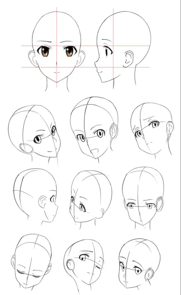 anime head reference anime head reference male anime head reference female anime head base anime head sketch anime face angles reference 4