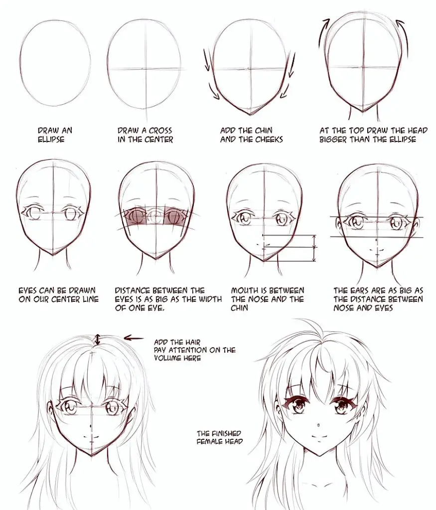 Anime Head Reference Anime Head Base Anime Head Sketch Anime Head Male Female 5 1 875x1024
