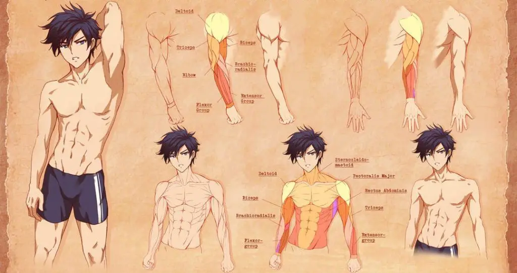 Anime Male Body Reference 4 1 1024x541