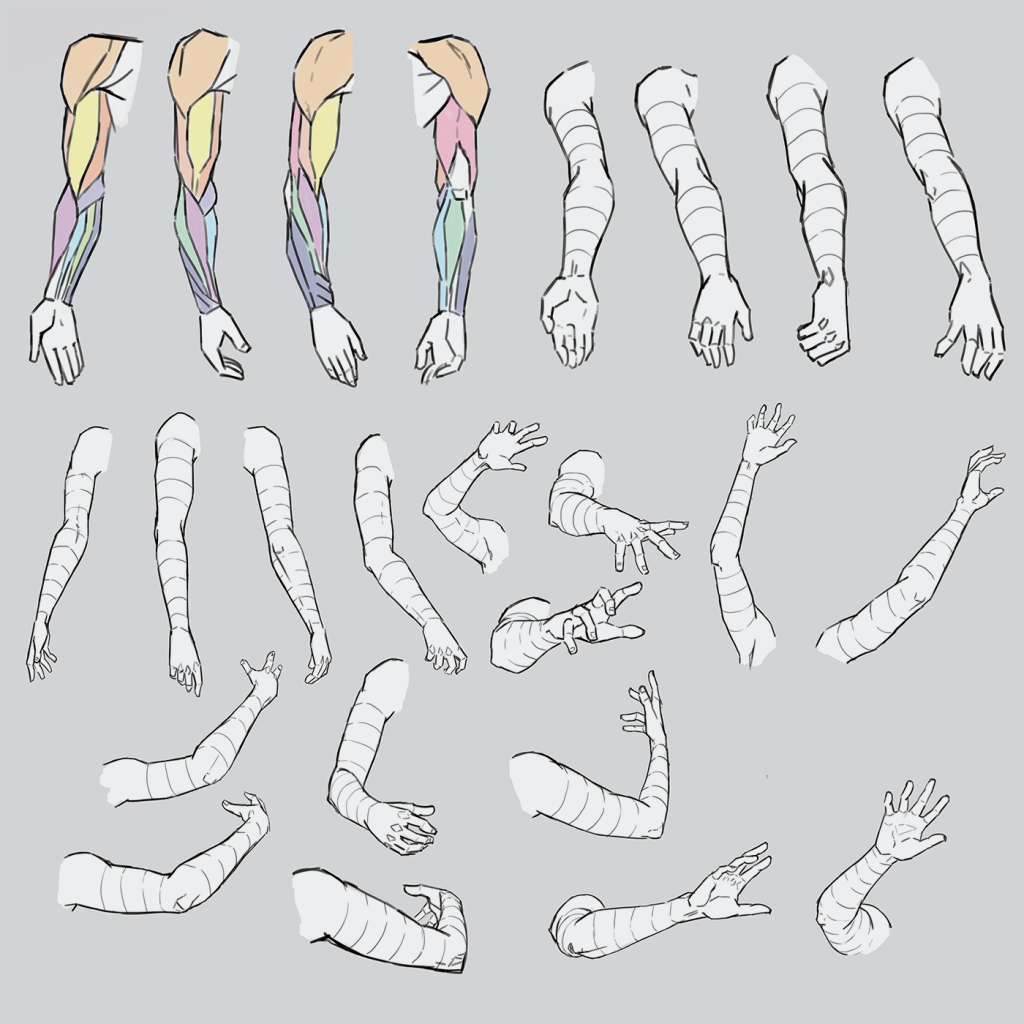 Arm Drawing Reference Female Arm Drawing Reference Male Arm Reference Muscular Arm Reference 1 1 1024x1024