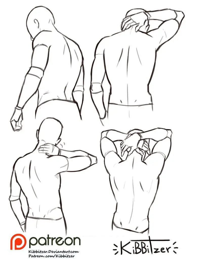 Back Drawing Reference 4 783x1024