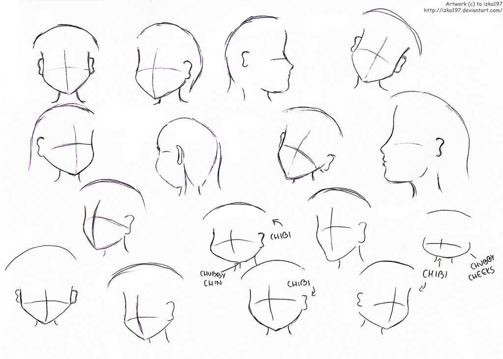 back of head drawing reference 4