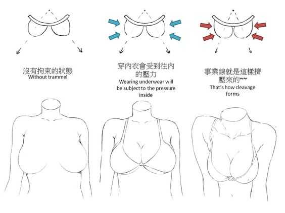 Bra Drawing Images 20