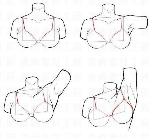 Bra Drawing Reference 11