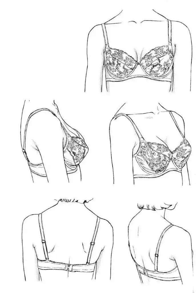 Bra Drawing Reference 12 686x1024