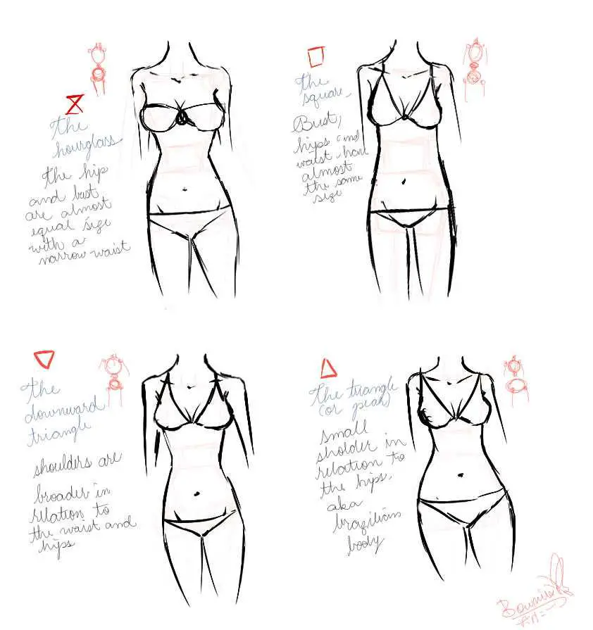Bra Drawing Reference 2