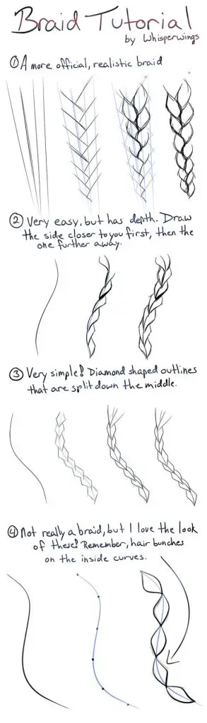 Braid Drawing Reference 6 293x1024