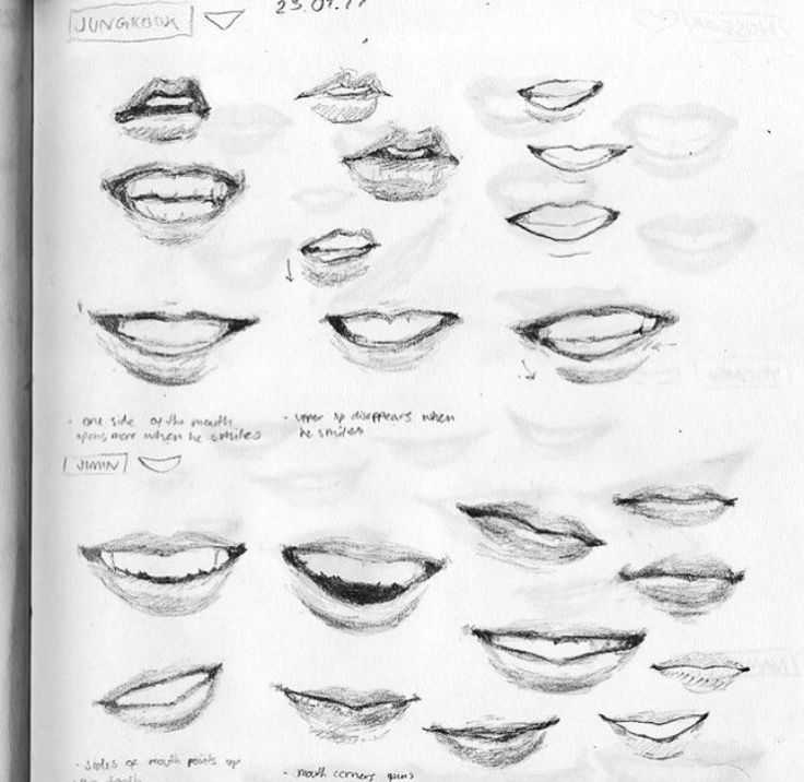 Bts Lips Reference Photo 45