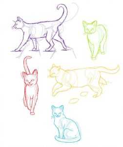 cat drawing reference Kitten drawing reference Cat reference sheet Cat poses drawing 17