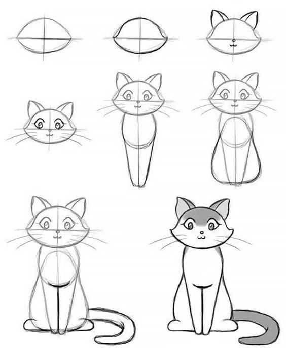 cat drawing reference Kitten drawing reference Cat reference sheet Cat poses drawing 27
