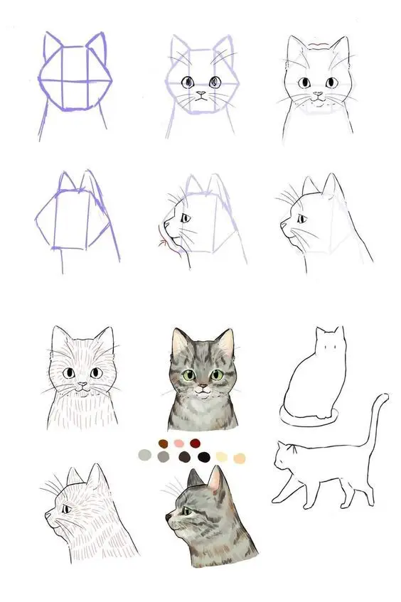 Cat Drawing Reference Kitten Drawing Reference Cat Reference Sheet Cat Poses Drawing 3 1