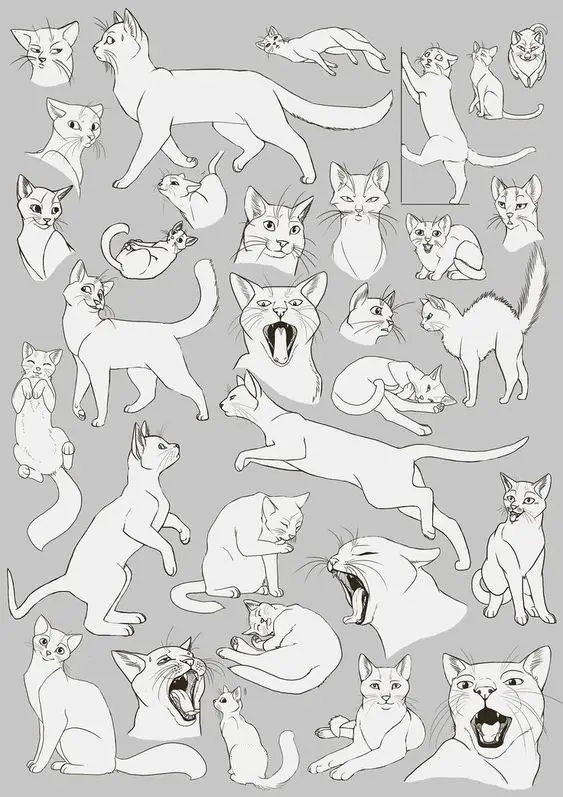 Cat Drawing Reference Kitten Drawing Reference Cat Reference Sheet Cat Poses Drawing 5 1