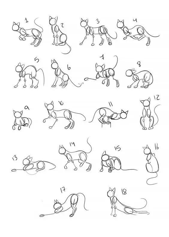 Cat Drawing Reference Kitten Drawing Reference Cat Reference Sheet Cat Poses Drawing 8 1