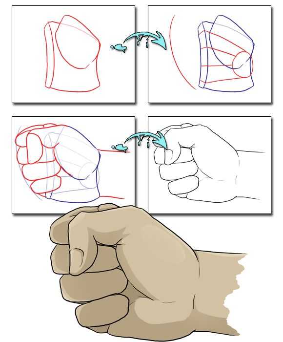 Closed Fist Drawing Reference 1