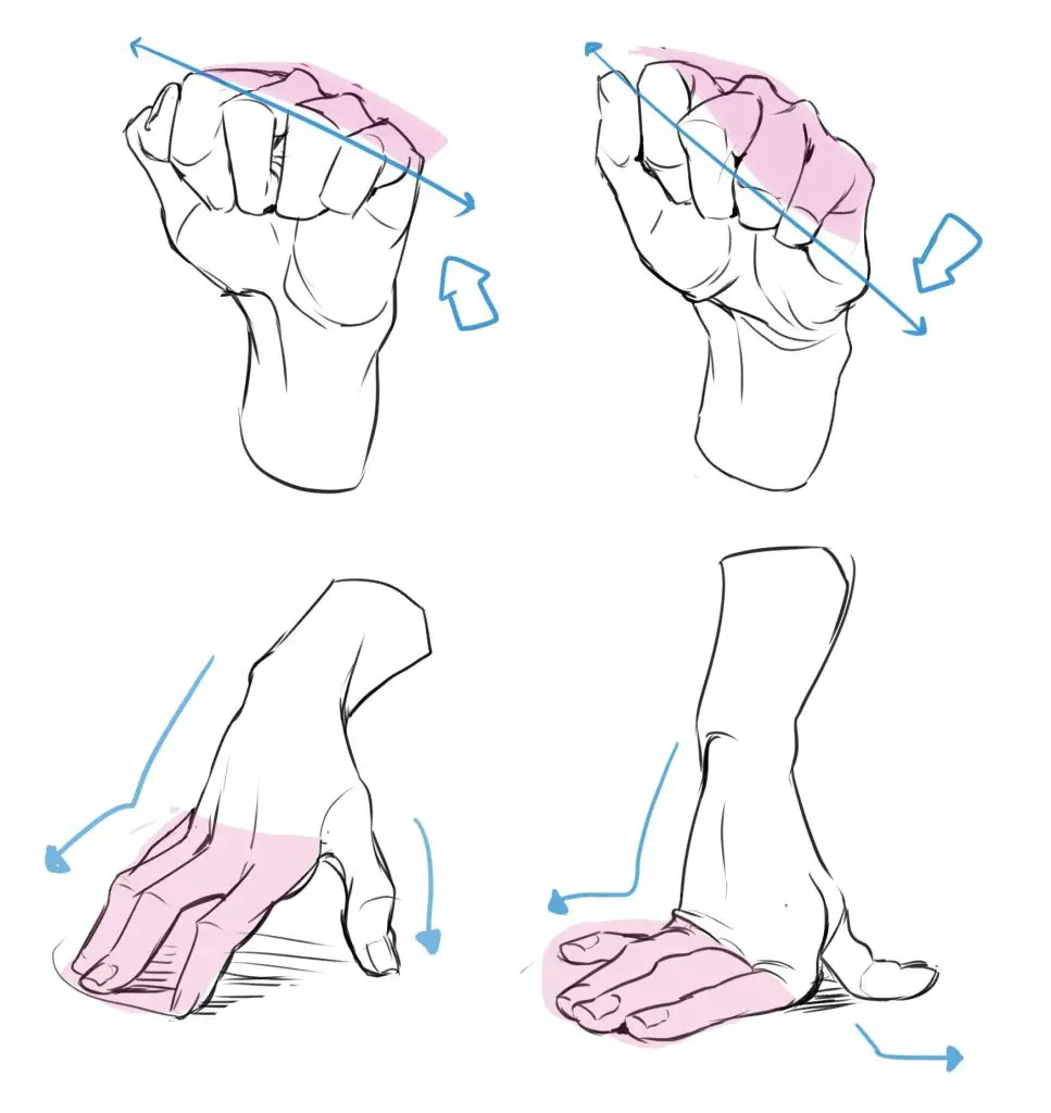 Closed Fist Drawing Reference 3