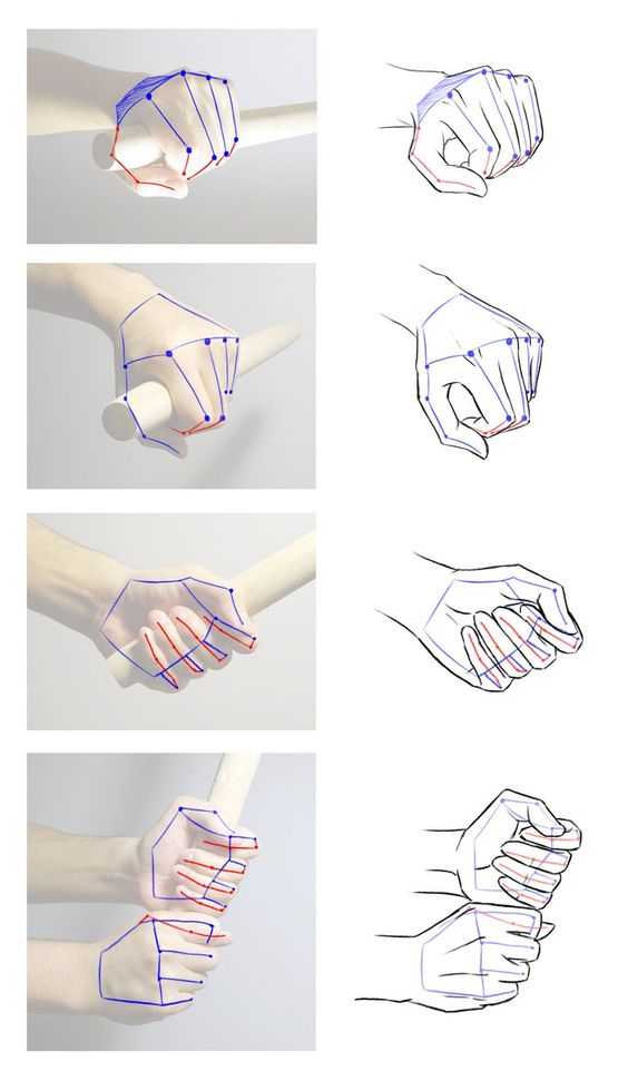 Closed Fist Drawing Reference 7