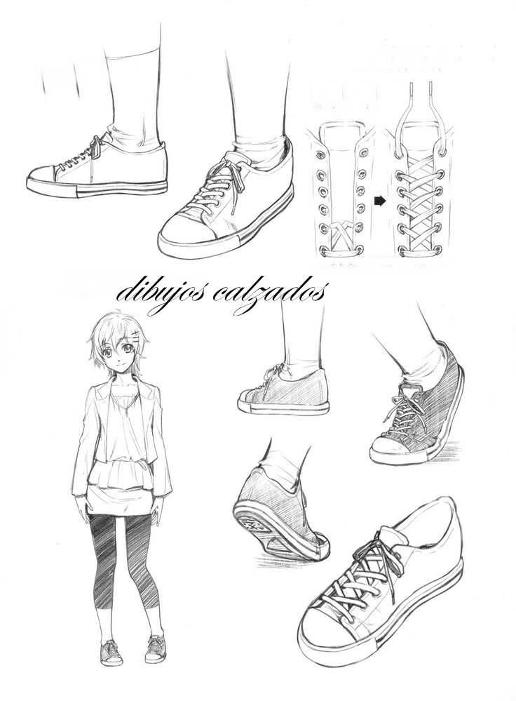 Converse Drawing Reference 6