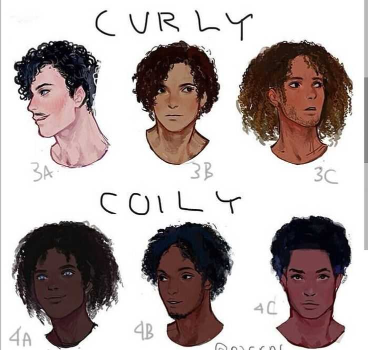 Curly Hair Drawing Reference 14