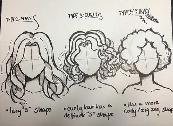 Curly Hair Drawing Reference 19