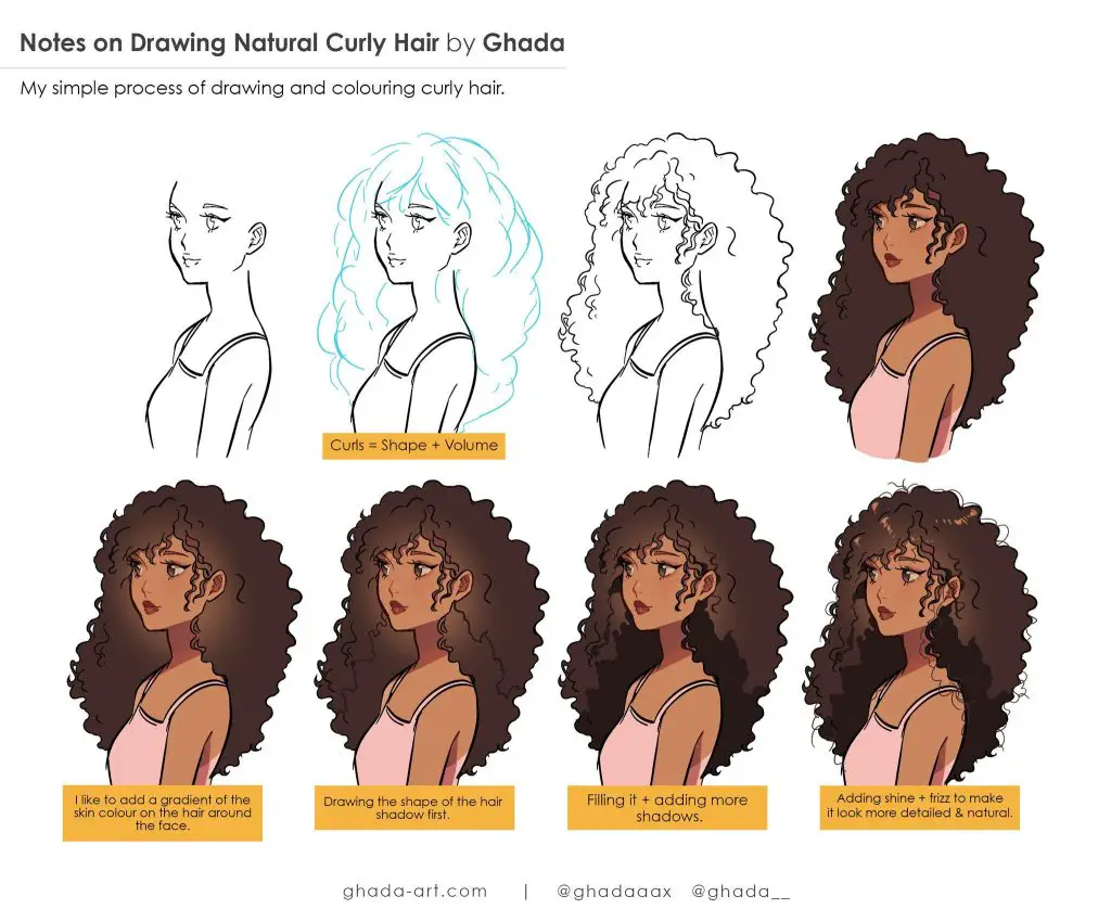 Curly Hair Drawing Reference 5 1024x850