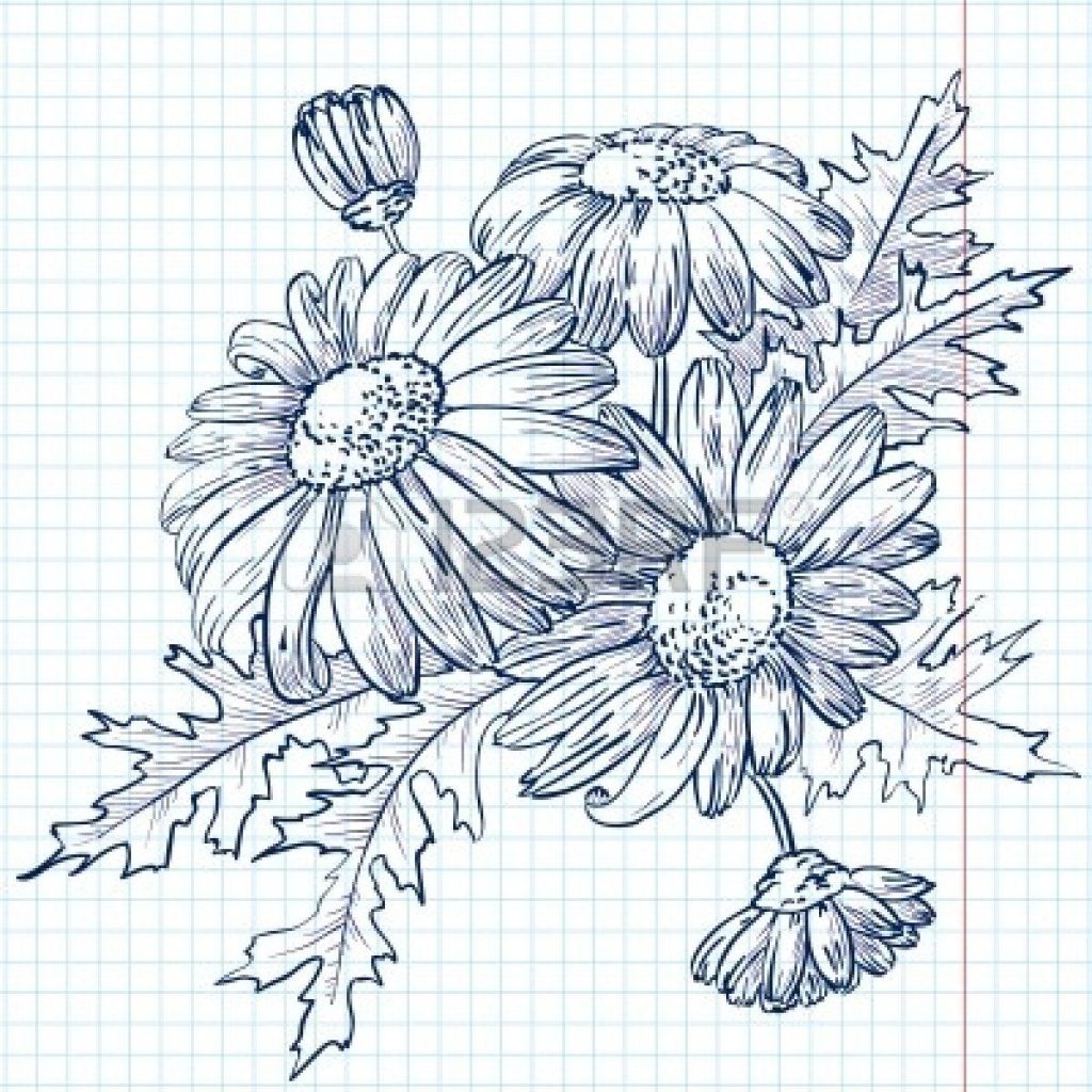 Daisy Drawing 15