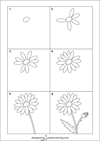 Daisy Flower Drawing 2