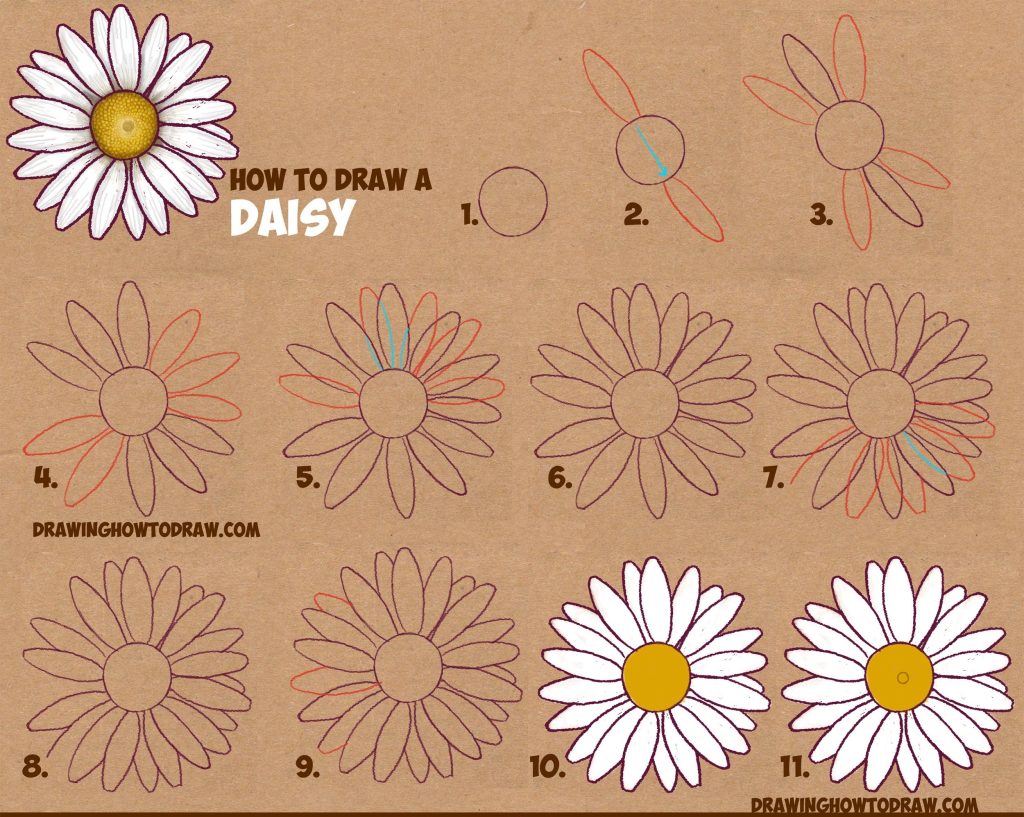 Daisy Flower Drawing 3 1024x817