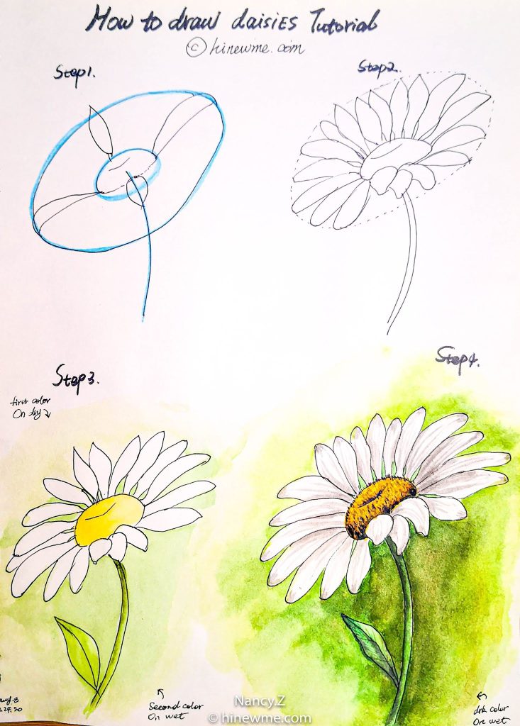 Daisy Flower Drawing 6 733x1024