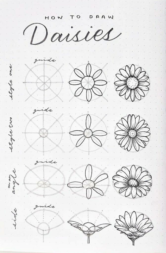 Daisy Flower Drawing 8 671x1024