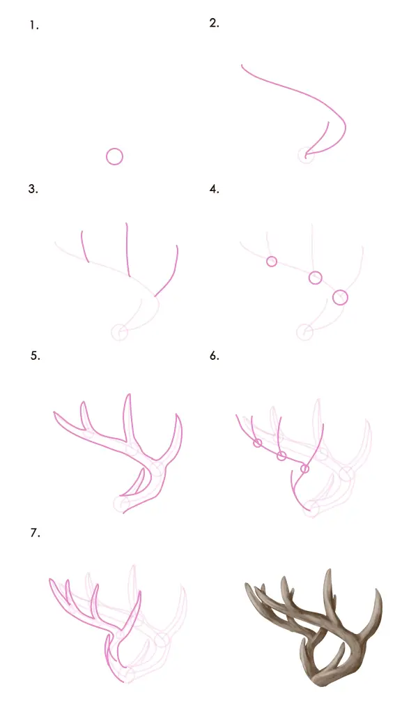 Deer Antlers Drawing 13