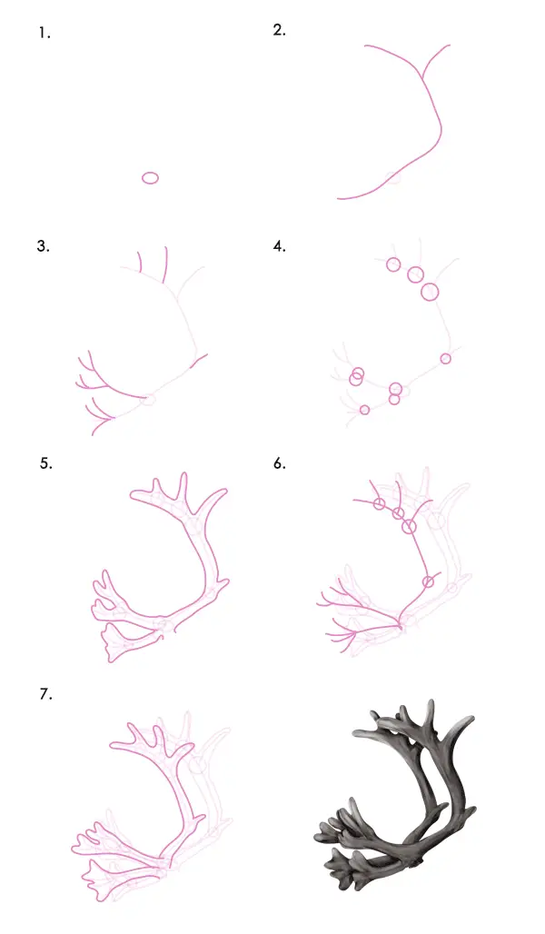 Deer Antlers Drawing 15