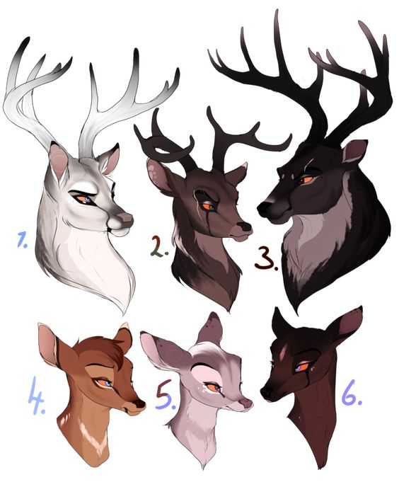 Deer Antlers Drawing Reference 14