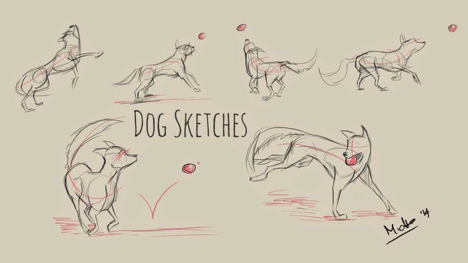Featured image for dog drawing reference