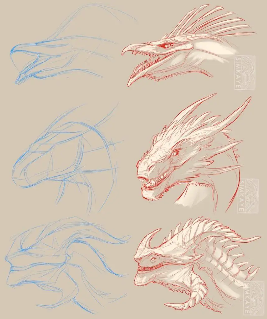 Dragon Drawing Reference 10