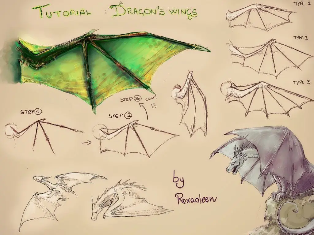 Dragon Wing Drawing Reference 1 1024x768