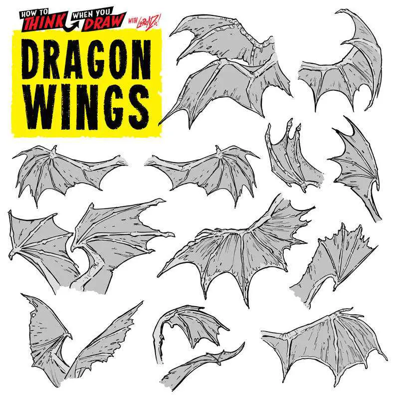 Dragon Wing Drawing Reference 2