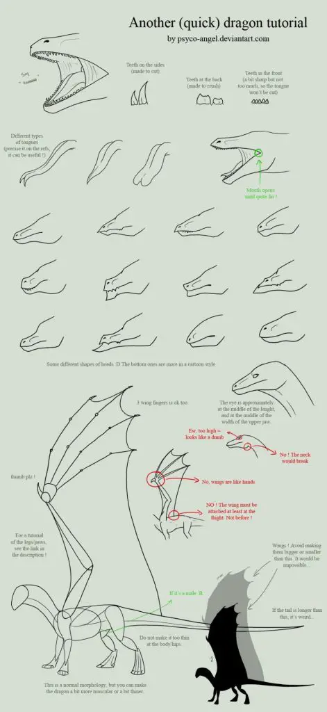 Dragon Wings Drawing 15 471x1024