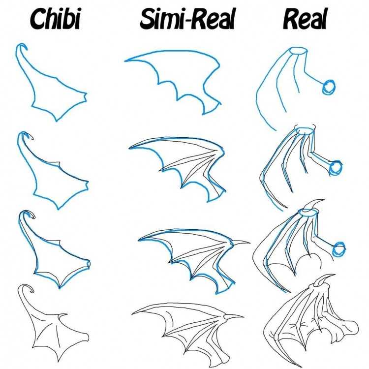 Dragon Wings Drawing 16