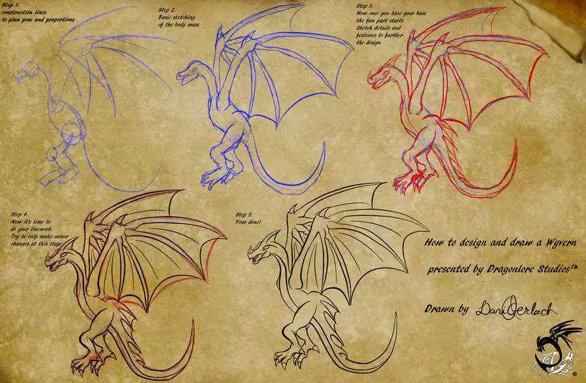Dragon Wings Drawing Reference 22
