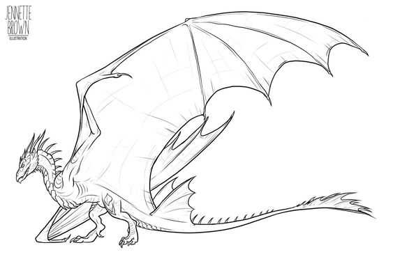 Dragon Wings Drawing Reference 24