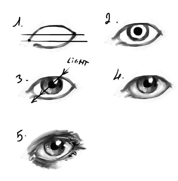 eyeball drawing reference eyeball reference eyeball reference photo Eye reference Drawing realistic Eye reference Drawing Anime 25