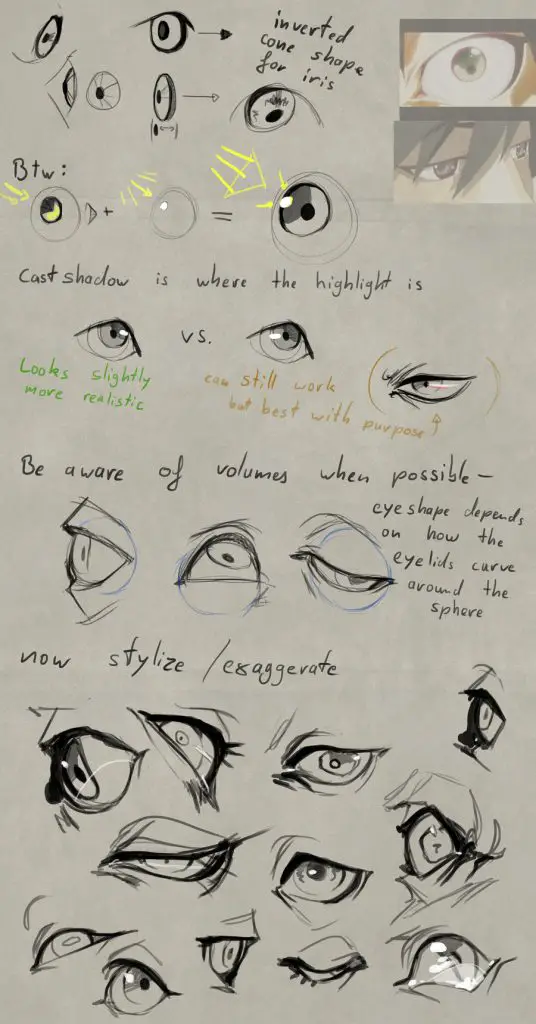 eyeball drawing reference eyeball reference eyeball reference photo Eye reference Drawing realistic Eye reference Drawing Anime 29