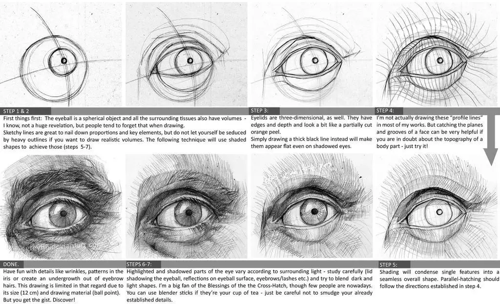 Eyeball Drawing Reference Eyeball Reference Eyeball Reference Photo Eye Reference Drawing Realistic Eye Reference Drawing Anime 31 1