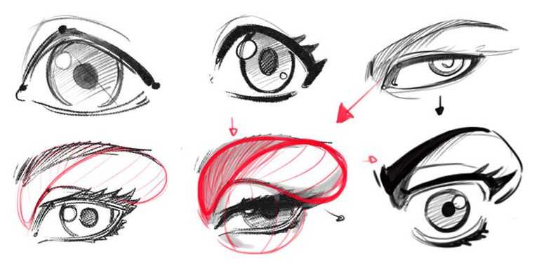 eyeball drawing reference eyeball reference eyeball reference photo Eye reference Drawing realistic Eye reference Drawing Anime 32