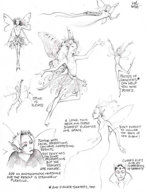 Fairy Drawing Reference 10